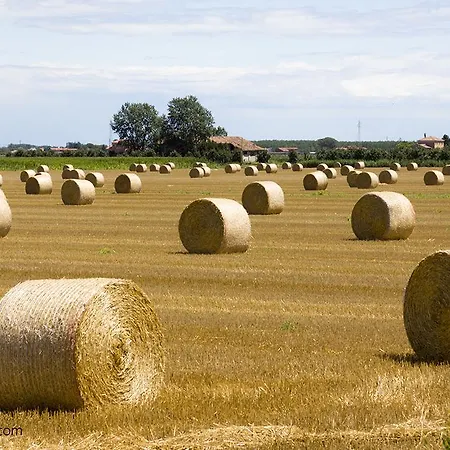 A Casa Di Marta Bed & Breakfast