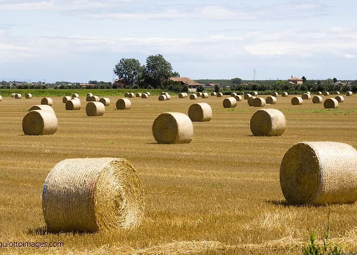 A Casa Di Marta Frühstückspension