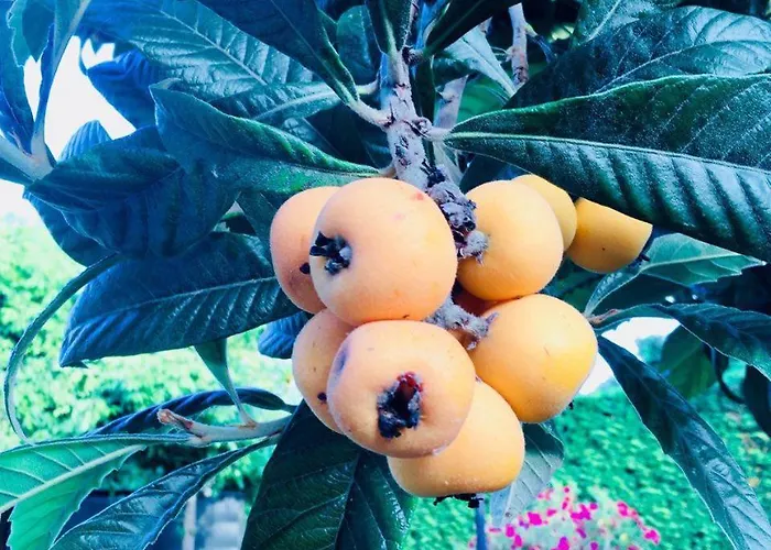 A Casa Di Marta Frühstückspension Cavallino-Treporti