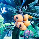 A Casa Di Marta Отель типа 